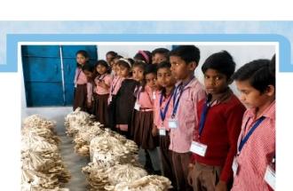 Students learning livelihood skills such as mushroom cultivation
